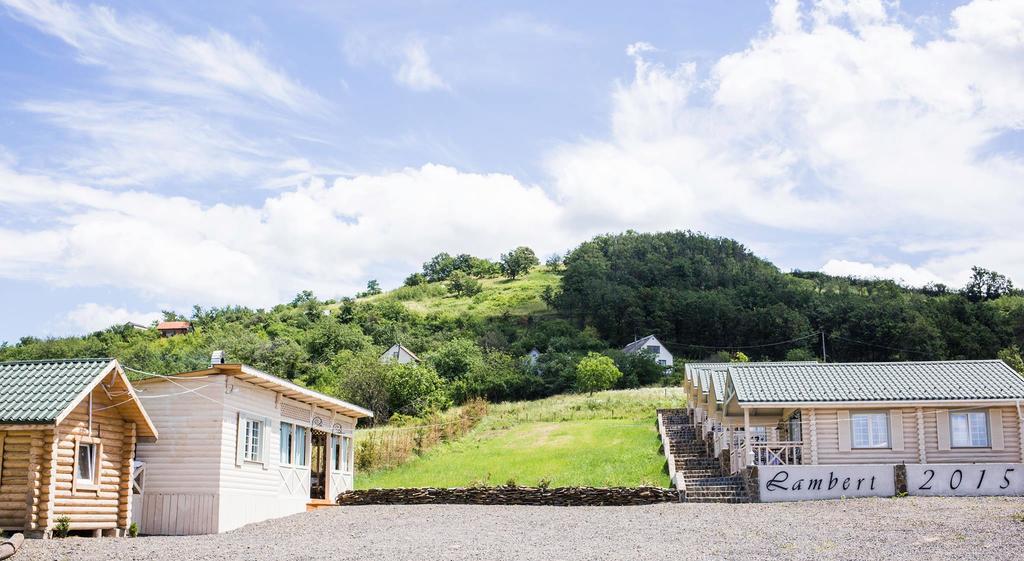 French Town Villa Berehove  Exterior photo